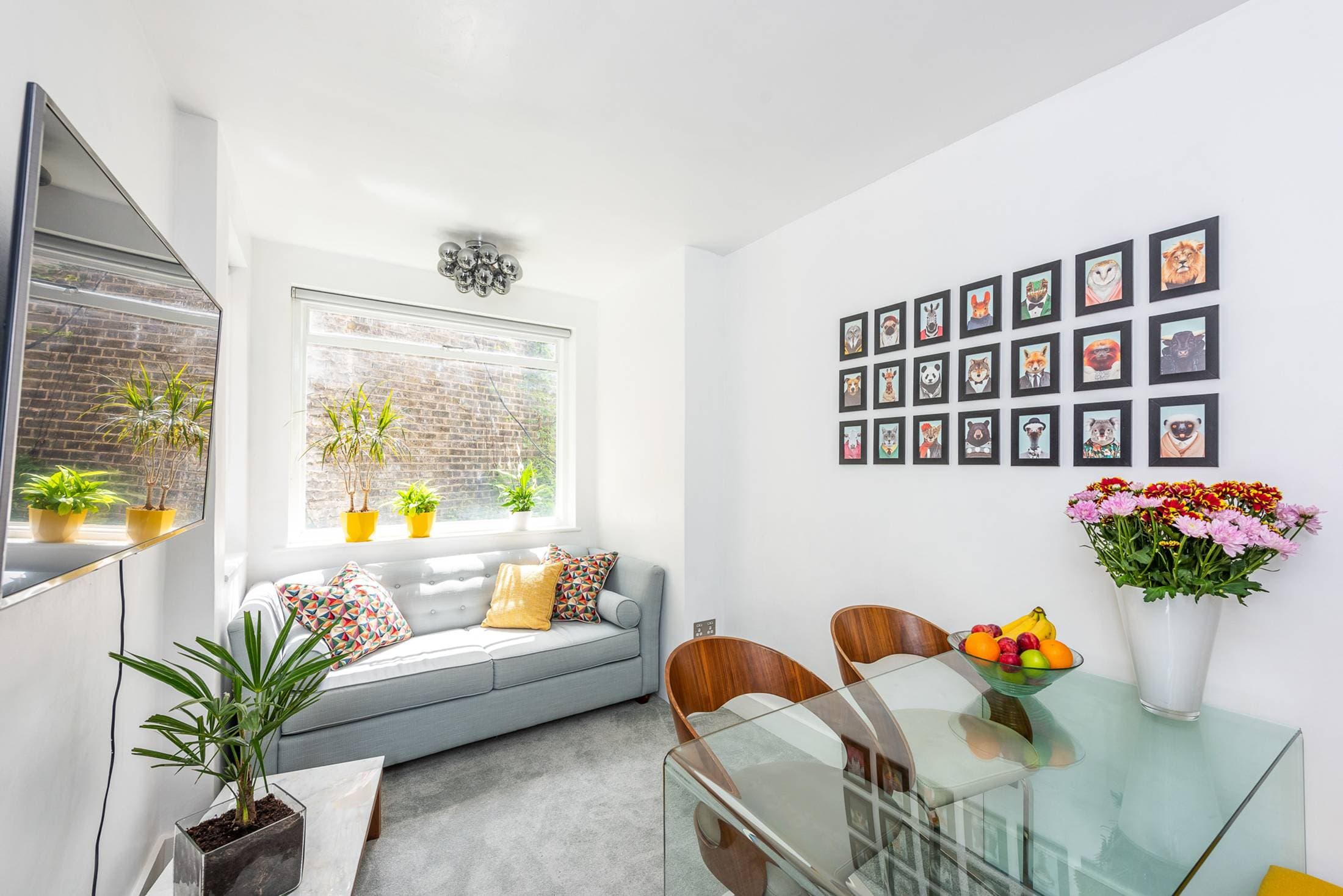 Velvet pull-out sofa bed and large Smart TV with Netflix
